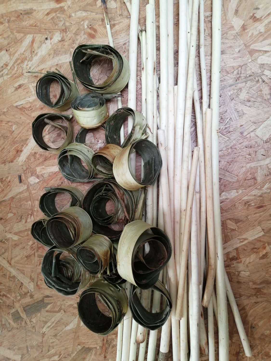 workshop Wilgenbast